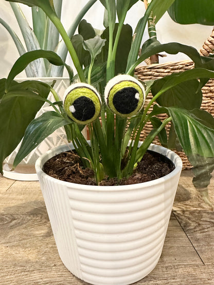 2 Plant Eyes - 3 lengths & 3 Colors