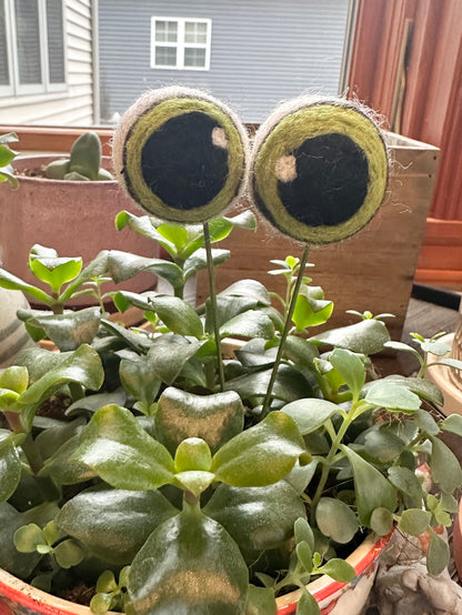 2 Plant Eyes - 3 lengths & 3 Colors